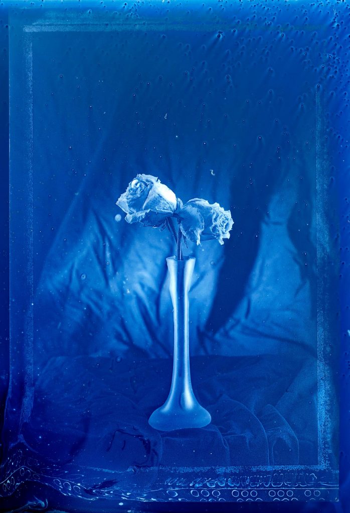 A tall, slender vase holds two wilted roses, set against a textured blue background with condensation and water droplets. Rendered as a cyanotype on glass by Damir Pildek, the scene evokes a moody, monochromatic blue tone.